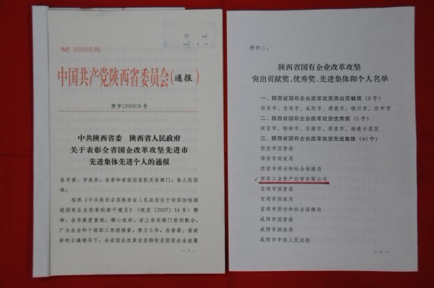 2009年2月，被陜西省委、省政府授予陜西省國有企業(yè)改革攻堅先進集體